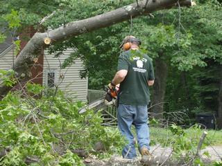 Map and Directions to Hunter Tree Service in Holyoke, MA 01040